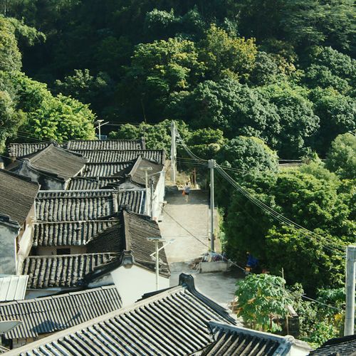 Lam Can-zhao