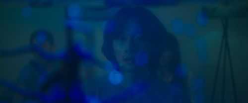 2023 FILM DABIN