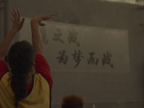 Bohao Liu