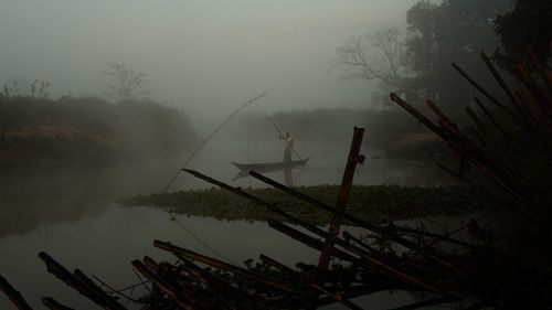 ©Dr. Pankaj Borah
