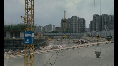 © 2026 Yijian Shan. All Rights Reserved.